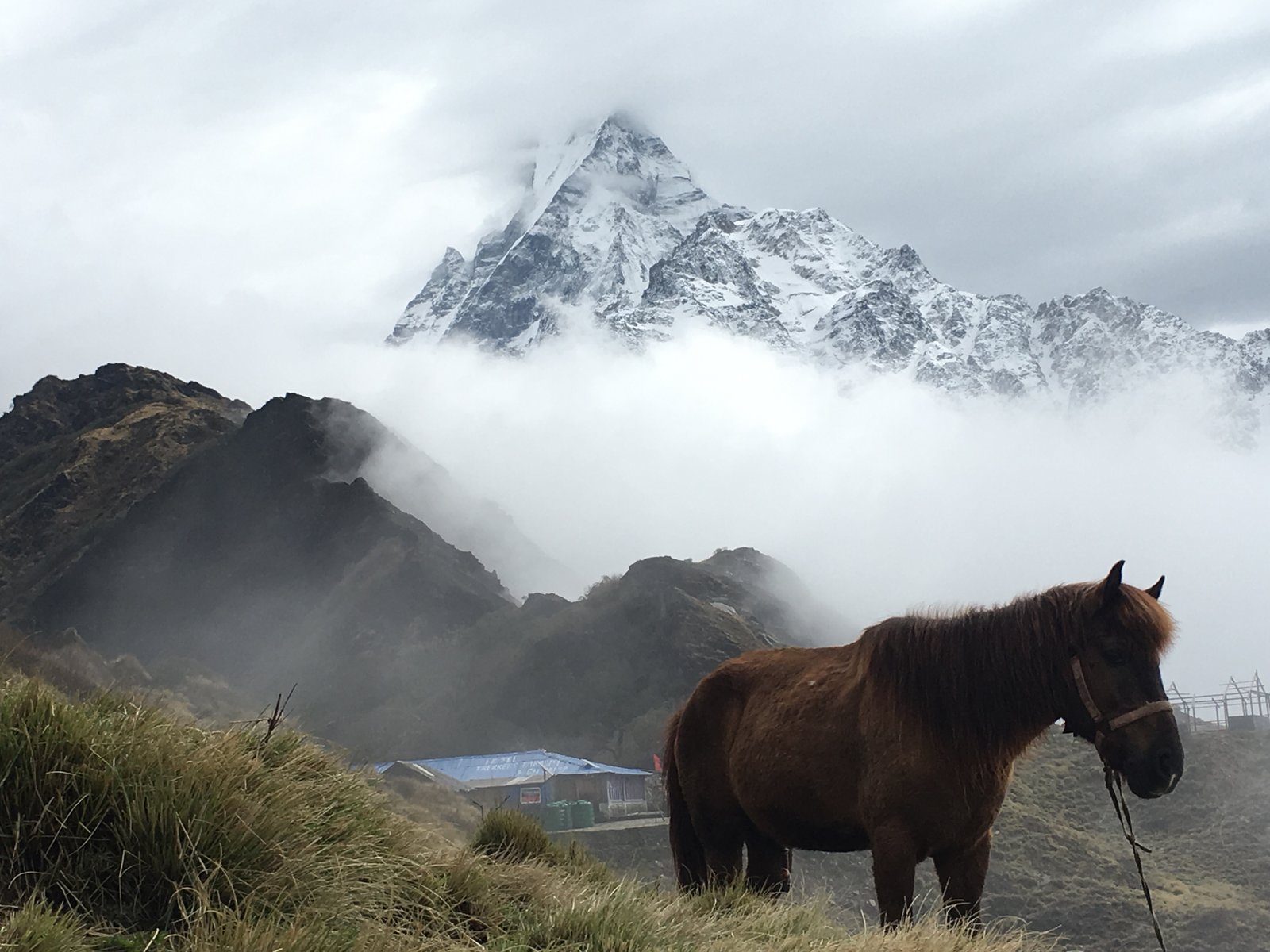 Mardi Himal Trek landscape